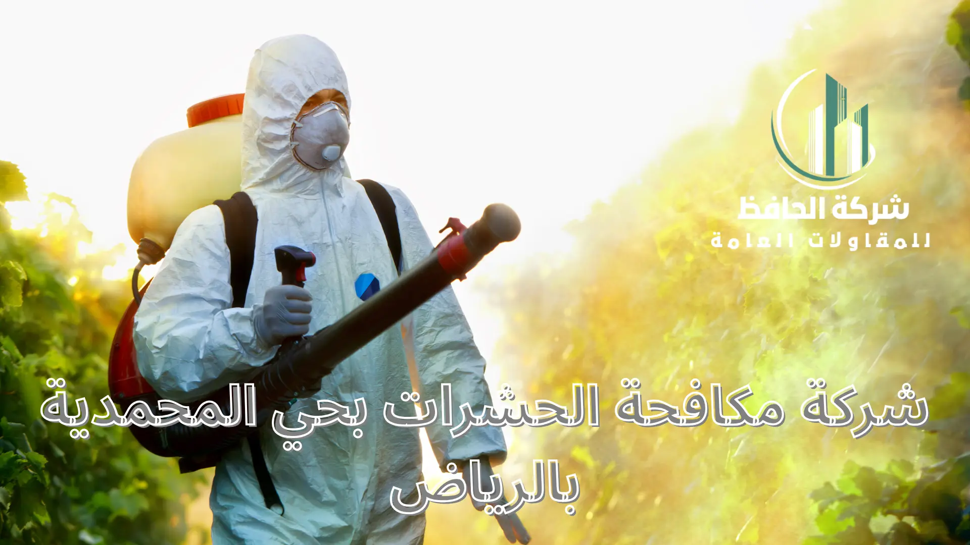 شركة مكافحة الحشرات بحي المحمدية بالرياض