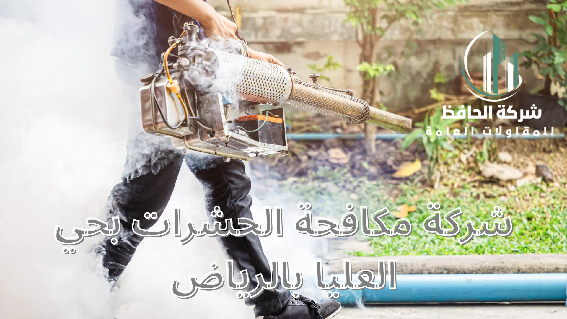 شركة مكافحة الحشرات بحي العليا بالرياض