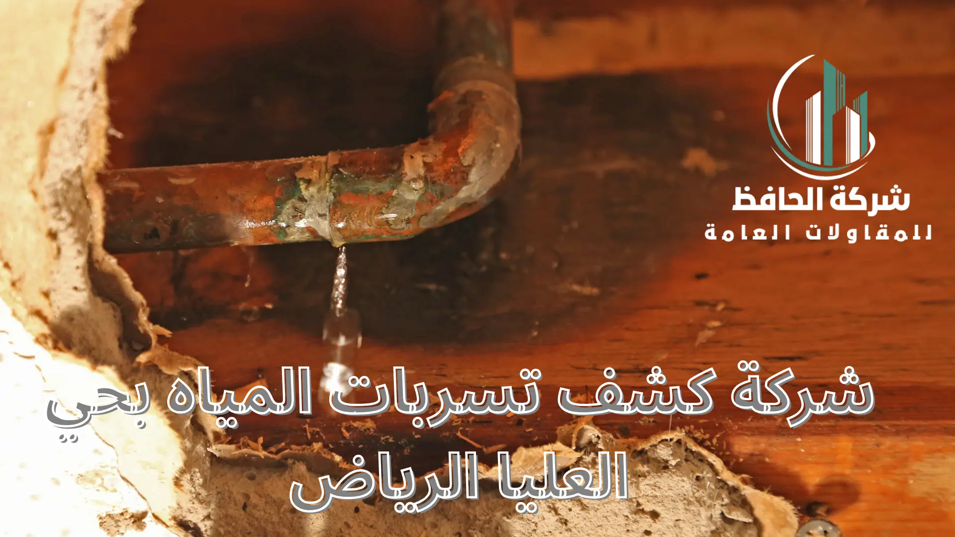 شركة كشف تسربات المياه بحي العليا الرياض